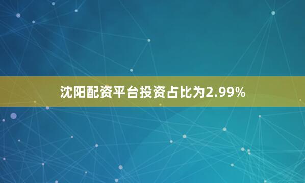 沈阳配资平台投资占比为2.99%