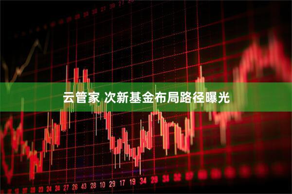 云管家 次新基金布局路径曝光